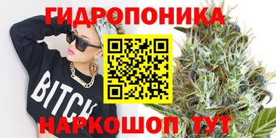 ешки Будённовск